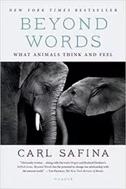 Book cover for "Beyond Words" by Carl Safina