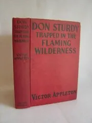 Book cover for "Don Sturdy Trapped in the Flaming Wilderness / Unearthing Secrets in Central Asia" by Victor Appleton
