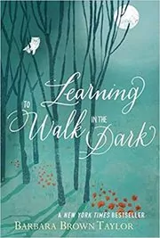 Book cover for "Learning to Walk in the Dark" by Barbara Brown Taylor