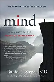 Book cover for "Mind" by Daniel J. Siegel