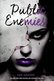 Book cover for "Public Enemies" by Ann Aguirre