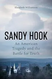 Book cover for "Sandy Hook" by Elizabeth Williamson