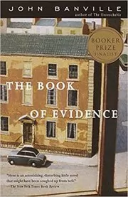 Book cover for "The Book of Evidence" by John Banville