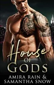 Book cover for "The Gods Of New York / House Of Gods" by Samantha Snow