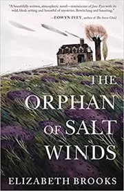 Book cover for "The Orphan of Salt Winds" by Elizabeth Brooks