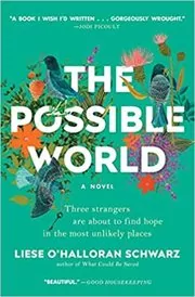 Book cover for "The Possible World" by Liese O'Halloran Schwarz