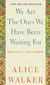 Book cover for "We Are The Ones We Have Been Waiting For" by Alice Walker