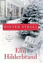 Winter book cover